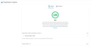 خطاهای قسمت SEO پیچ اسپید گوگل